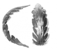 19-1010