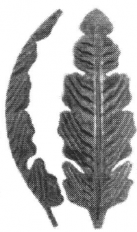 19-1034