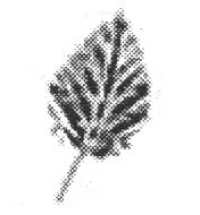 19-1204