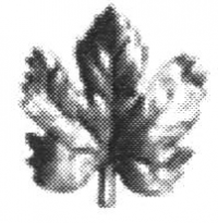 19-2000