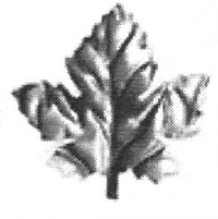 19-2003