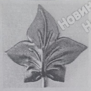 10-124