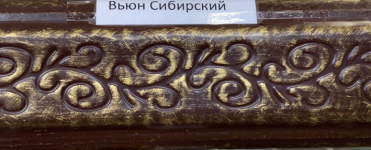 Поручень Сибирский вьюн